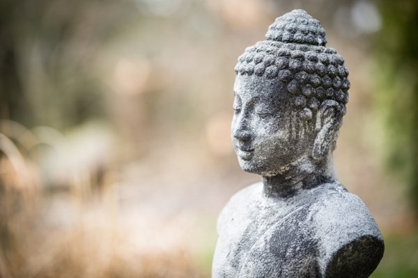 gray concrete statue of Buddha